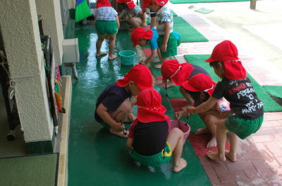 写真だけきょう更新しておきます。