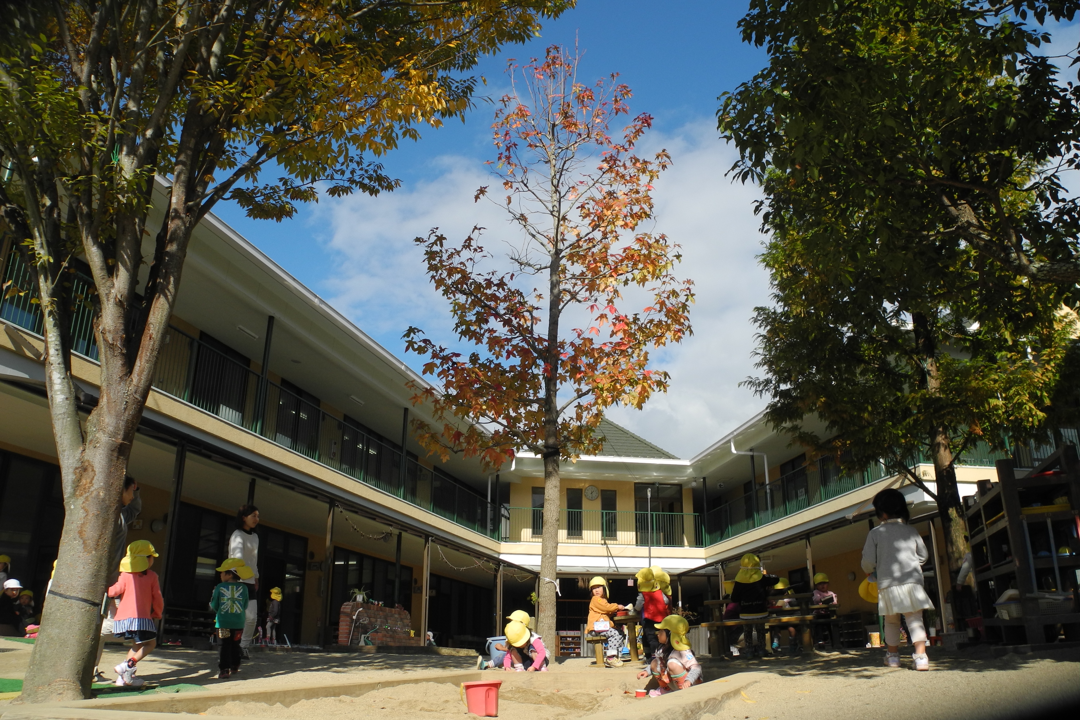 きのうの写真です